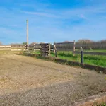 De L'egal